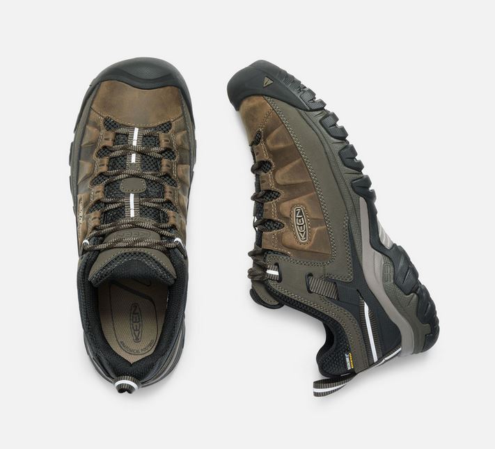 Men's Targhee III Hiking Shoe | Bungee/Black | KEEN Footwear